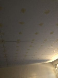 春日井市にて天井の塗装ビス頭のパテ処理完了