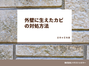 外壁に生えたカビの対処法